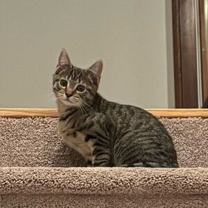 Meet your Posher, Ari